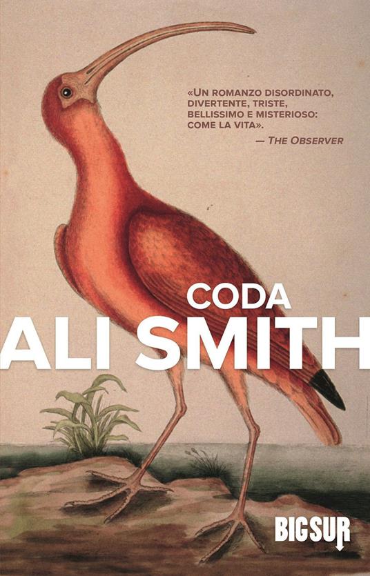 Ali Smith Coda